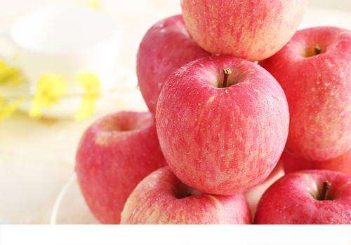 苹果和玉米可以同吃吗 苹果和玉米能一起榨汁吗