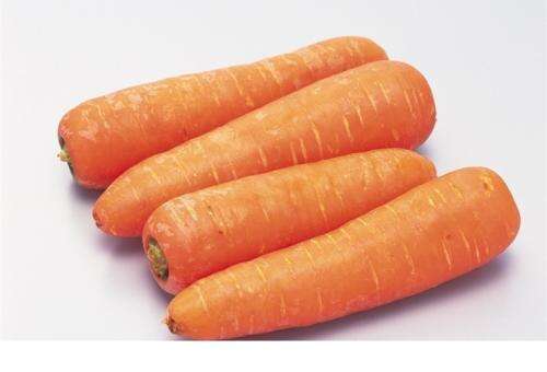 各种萝卜的功效与作用 白萝卜红萝卜青萝卜功效有不同