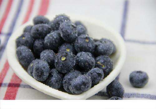 蓝莓是热带水果吗 蓝莓属于热性还是凉性