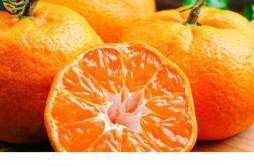 沃柑和橙子哪个营养好 沃柑和橙子的区别