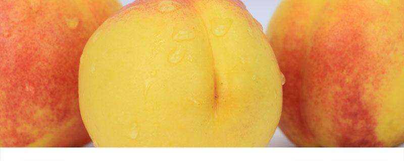 黄桃不能和什么一起吃 黄桃太青怎么让它变黄