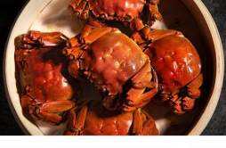 螃蟹跟柿子可以一起吃吗 螃蟹和柿子一起吃了怎么处理