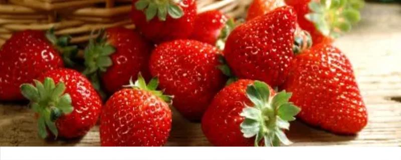 草莓是热性还是凉性 草莓有什么功效与作用