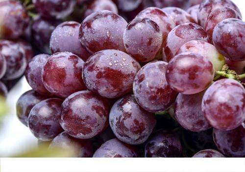 孕妇血糖高可以吃葡萄吗 孕妇血糖高吃葡萄有影响吗