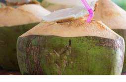 椰子一般可以放多久 椰子怎么保存时间长