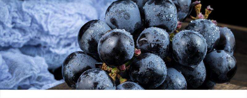 葡萄跟柚子能不能同食 葡萄不能和什么一起吃