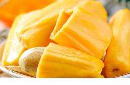 菠萝蜜脂肪含量高吗 减肥吃菠萝蜜会发胖吗