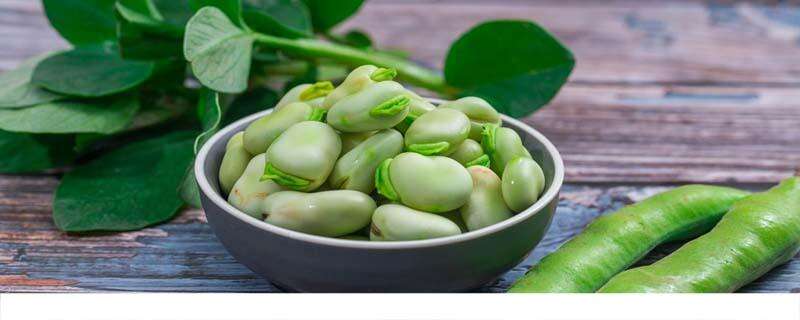 蚕豆的功效与作用禁忌 蚕豆是酸性食物还是碱性食物