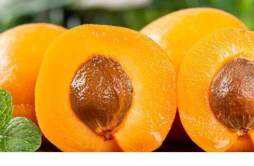 杏子可以空腹吃吗 空腹吃杏子后胃难受怎么解决