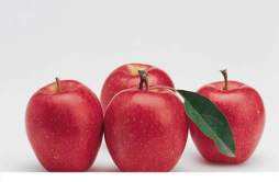 苹果三日减肥法 苹果三日减肥法可以吃橄榄油吗