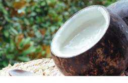 椰子常温下能保存多久 椰青常温保存还是冷藏