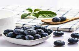 蓝莓是热性还是凉性水果 蓝莓不能和什么同吃