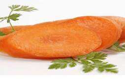 胡萝卜有养胃的作用吗 胡萝卜炖什么养胃