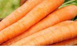 胡萝卜有什么功效 胡萝卜有什么营养价值