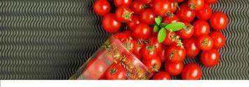 番茄减肥一周瘦15斤 一个月吃番茄减肥瘦多少