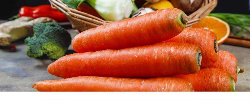每天生吃一根胡萝卜的好处 胡萝卜一天吃多少合适