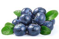 蓝莓软可以吃吗 蓝莓有什么营养功效