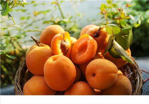 黄桃为什么用盐泡 黄桃和水蜜桃哪个好吃