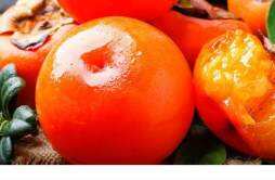 柿子和枣可不可以一起吃 柿子和枣一起吃会中毒吗