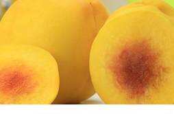 黄桃几月份成熟 黄桃儿童可以吃吗