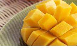 芒果过敏是因为什么 吃芒果过敏症状有哪些