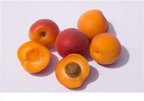 糖尿病能吃杏吗 哪些水果不适合糖尿病