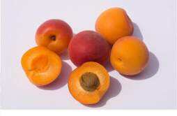 糖尿病能吃杏吗 哪些水果不适合糖尿病