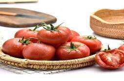 养胃吃西红柿可以吗 西红柿养胃怎么做