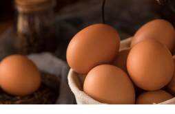 吃完鸡蛋可以吃牛油果吗 鸡蛋和牛油果吃多了怎么办