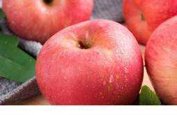 苹果常温下可以保存多久 苹果常温下怎么保存