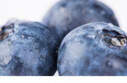 蓝莓能把近视眼治好吗 长期吃蓝莓近视好了
