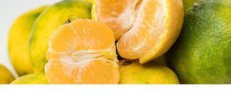 减肥可以吃橘子吗 橘子是增肥还是减肥