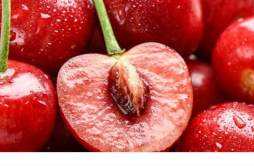 樱桃热量高吗会胖吗 减肥期间樱桃一次可以吃多少