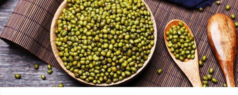 绿豆水煮多久才能解毒 绿豆汤怎么做是绿色的