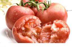 西红柿和菠菜一起吃好吗 西红柿可以放冰箱冷藏吗