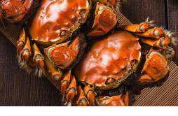 螃蟹可以和冬枣一起吃吗 螃蟹和冬枣一起吃了怎么办