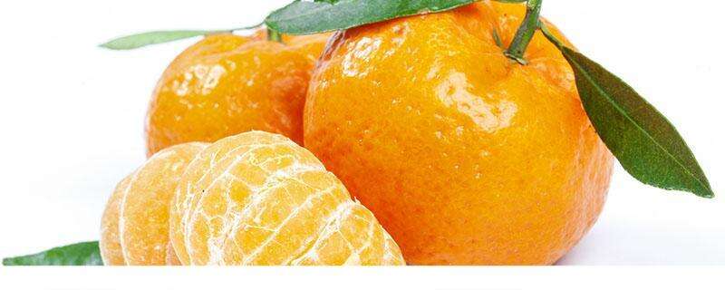 橘子不可以和什么同吃 哪些人不宜吃橘子