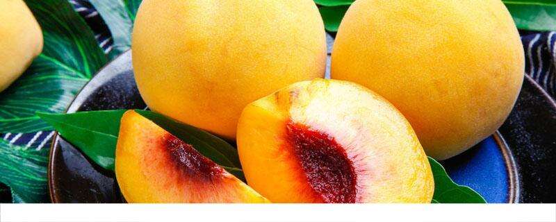 黄桃与普通桃哪个更好 黄桃和普通桃子可以一起吃吗