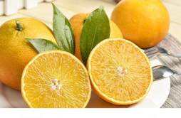 橙子常温下怎么保存 橙子常温下能放多久
