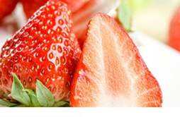 草莓跟松子可以同食吗 松子不能和什么同食