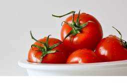 西红柿不能和什么一起吃 怎么吃西红柿才减肥