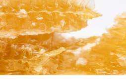 蜂胶可以降低血糖吗 蜂胶糖尿病人怎么吃