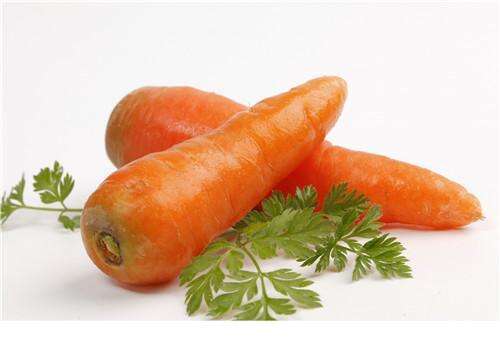 胡萝卜怎么腌制的好吃 胡萝卜功效与作用营养