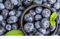 买的新鲜蓝莓怎么保存 新鲜蓝莓可以冷冻吗