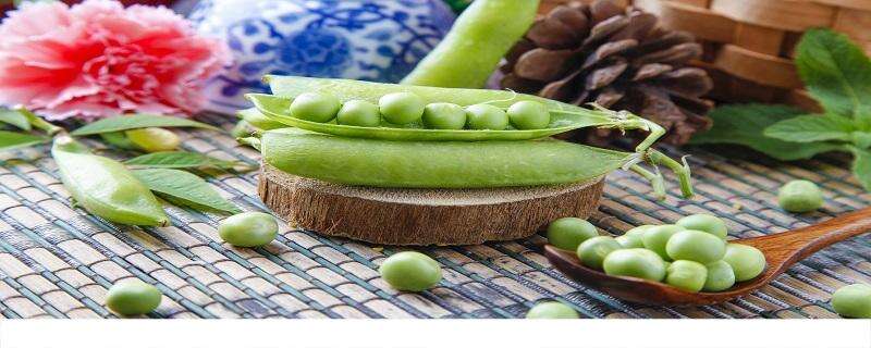 豌豆炖排骨怎么做好吃 豌豆炖排骨有什么营养