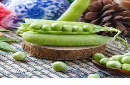 豌豆炖排骨怎么做好吃 豌豆炖排骨有什么营养