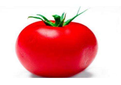 吃番茄的禁忌 吃番茄的4个禁忌