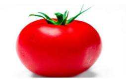 吃番茄的禁忌 吃番茄的4个禁忌