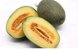 哈密瓜怎么挑甜的 哈密瓜的品种有哪些