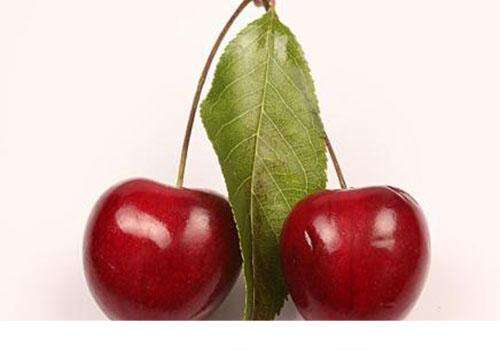 樱桃有什么营养成分 吃樱桃有什么功效
